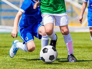 Shutterstock_517663504.jpg