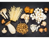 гриби їжа.jpg