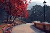 park-1072829_960_720.jpg