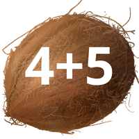 к9.3.png