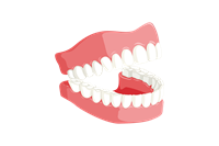 teeth.png