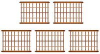 5-клеток.png