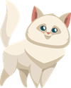 Кіт.png