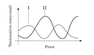 Пробна-35.jpg