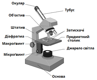 мікроскоп_підпис.png