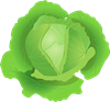 18.png