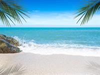 beach.jpg