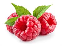 Shutterstock_512747119_raspberries_avenes (1).jpg