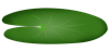 латаття.png