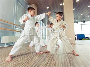 shutterstock_439358632_karate_karatē.jpg