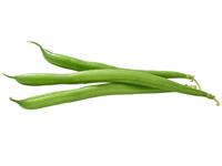 Shutterstock_1187214979_beans_pupas.jpg