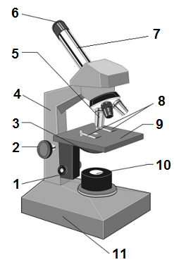 мікроскоп_цифри1.png