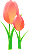 tulips-152832_640.png