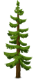 tree-576836_1280.png