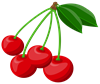 4в.png