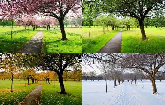 the-four-seasons.jpg
