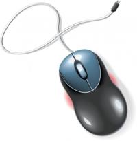mouse.jpg
