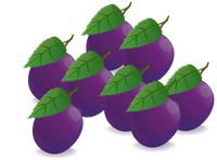 Сливи 8.png