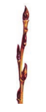чергове10.png