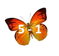 б4в.png