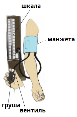 манометр.png