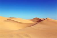 desert.jpg