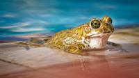 waters-3038803_960_720.jpg