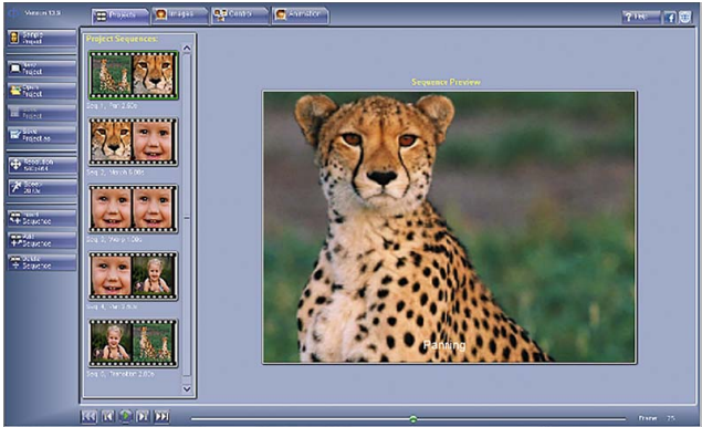 24.PNG