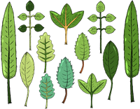 leaves-4395694_1280.png