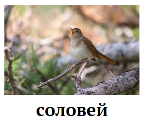 Знімок екрана 2024-02-10 170046.png