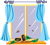 window-45787_960_720.png