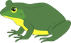 frog-g2f99be95f_1280.png