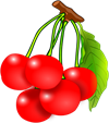 5в.png