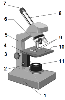 мікроскоп_цифри2.png