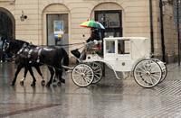 pix_carriage.jpg