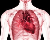 серце канва плат.jpg