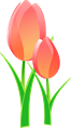 tulips-152832_640.png