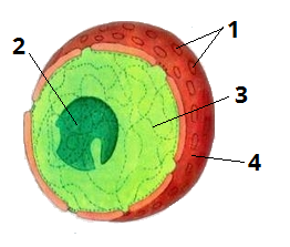 04.png