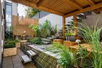 backyard1.jpg
