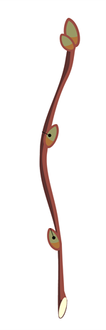 чергове6.png