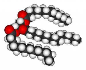 Fat-Molecule-1024x831.png