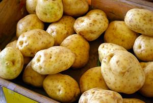 farm-market-potatoes-3901428_1920.jpg