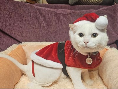 Данііл Ярошенко