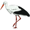 лелека.png