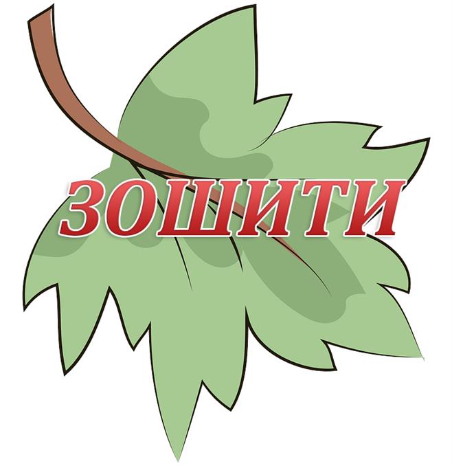 Н8.jpg