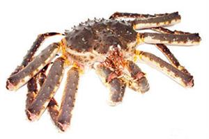 камчатський краб_клас.jpg