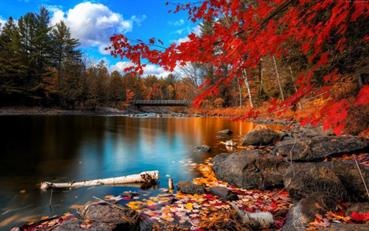 autumn-forest-3840x2400-leaves-trees-lake-rocks-beach-bridge-sky-578.jpg