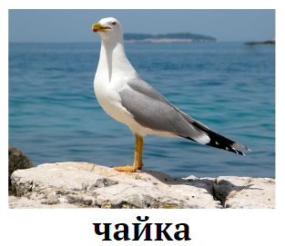 Знімок екрана 2024-02-10 170512.png