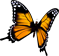 Бабочка Taurenis Butterfly.png