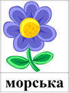 50.png